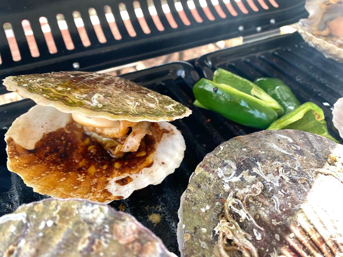 f:id:mashley_slt:20220106133459j:plain