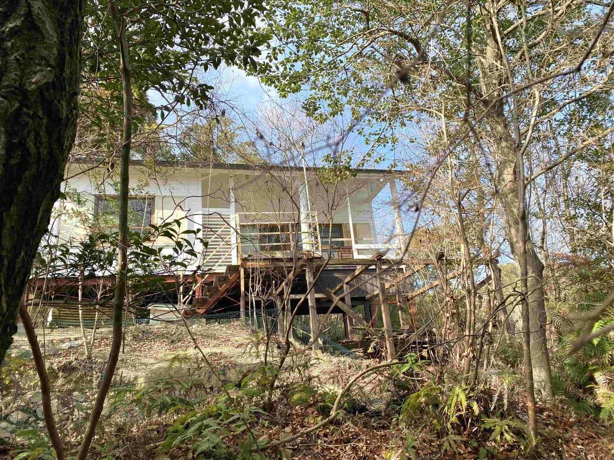 f:id:mashley_slt:20220225152810j:plain