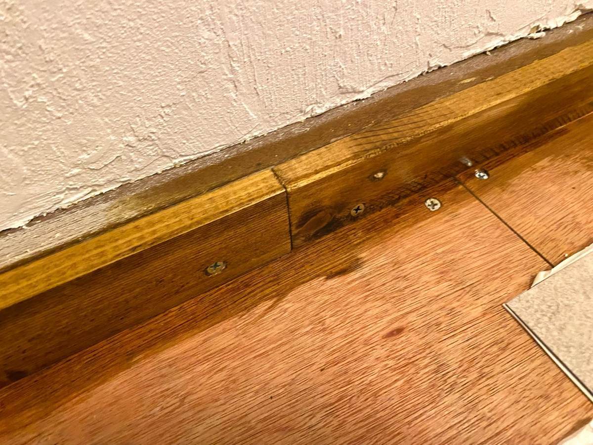 f:id:mashley_slt:20220225160719j:plain