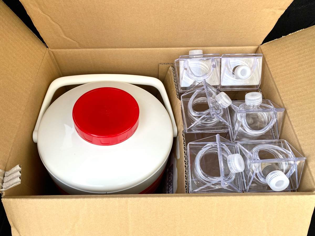 f:id:mashley_slt:20220314152714j:plain