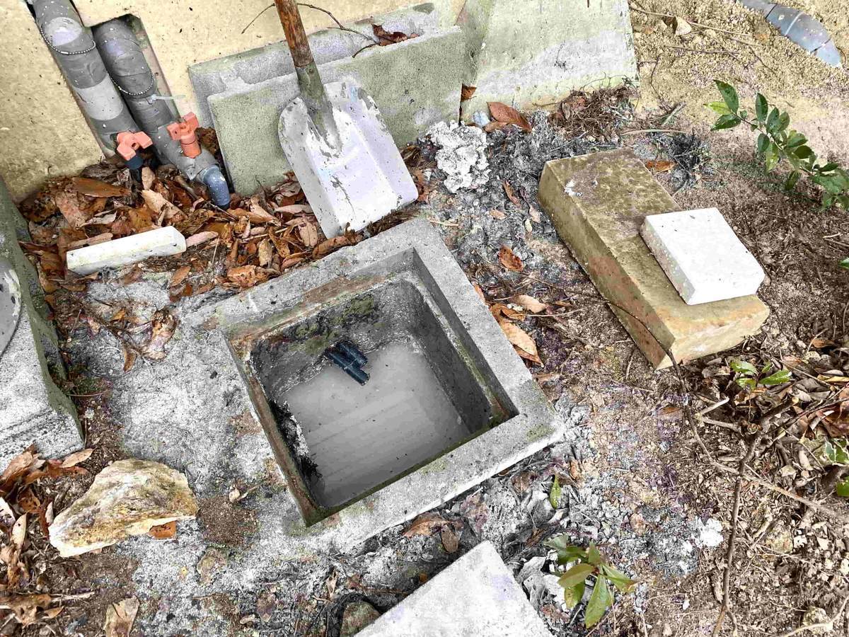 f:id:mashley_slt:20220314154437j:plain