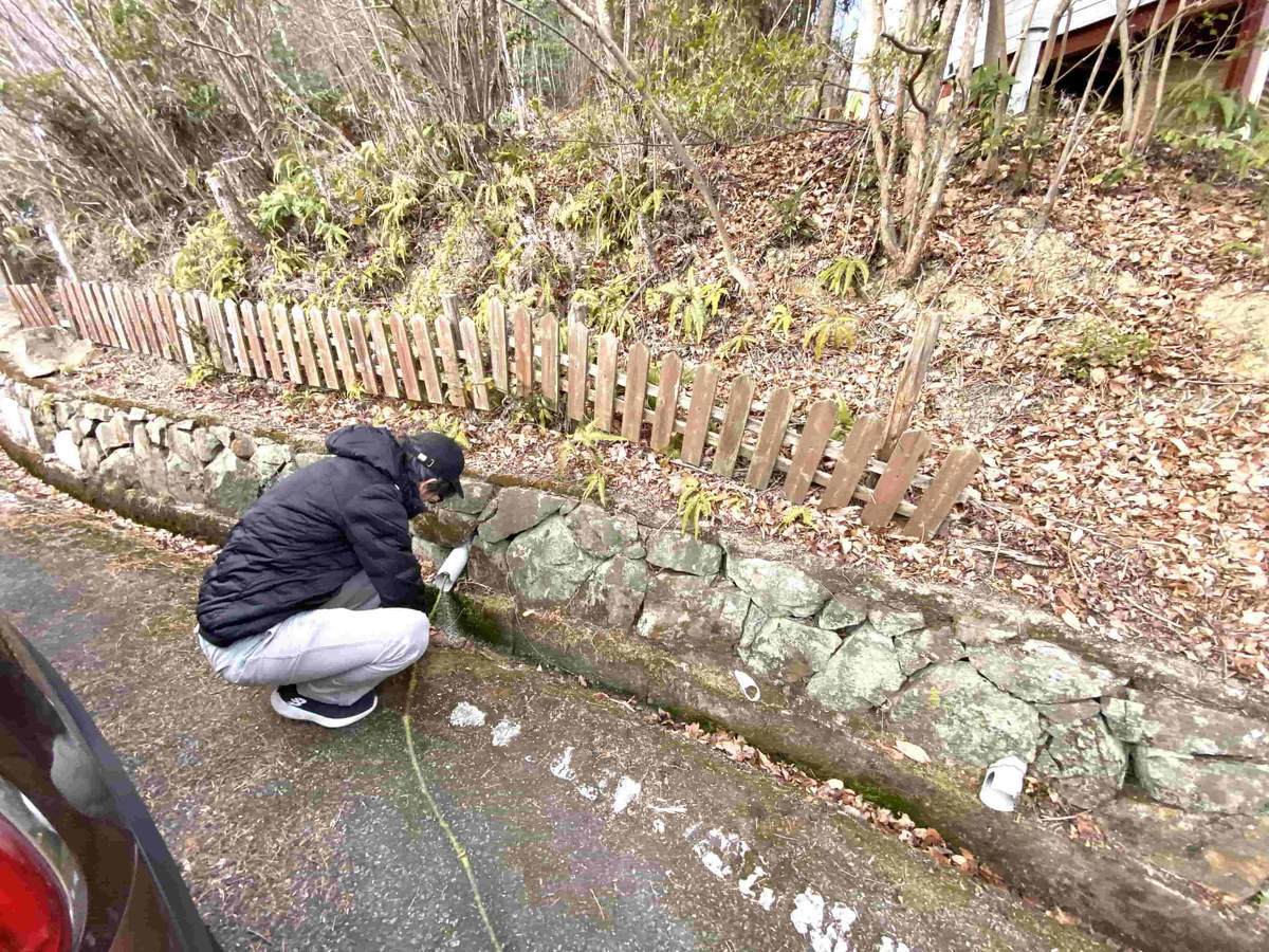 f:id:mashley_slt:20220314154449j:plain