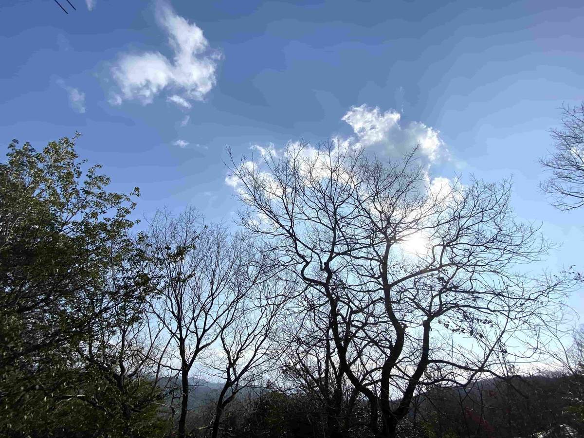 f:id:mashley_slt:20220314154515j:plain