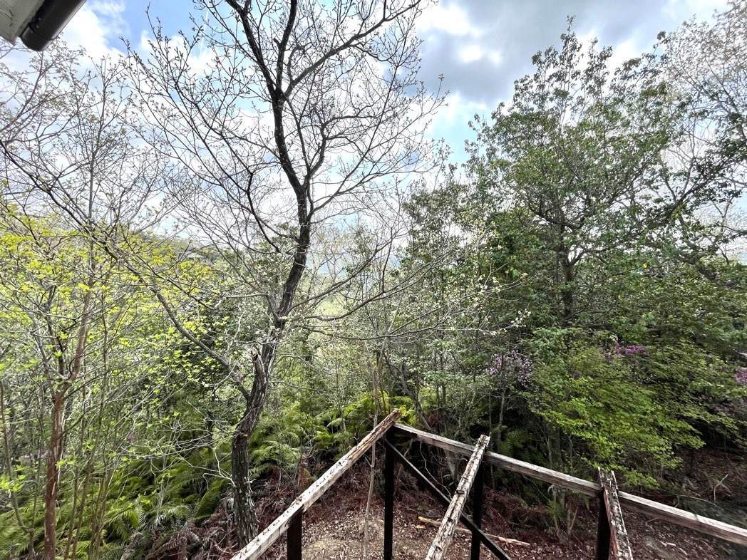 f:id:mashley_slt:20220414222714j:plain