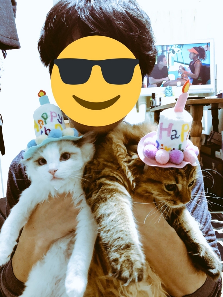 f:id:mashnpotato-cats:20180401224225j:plain