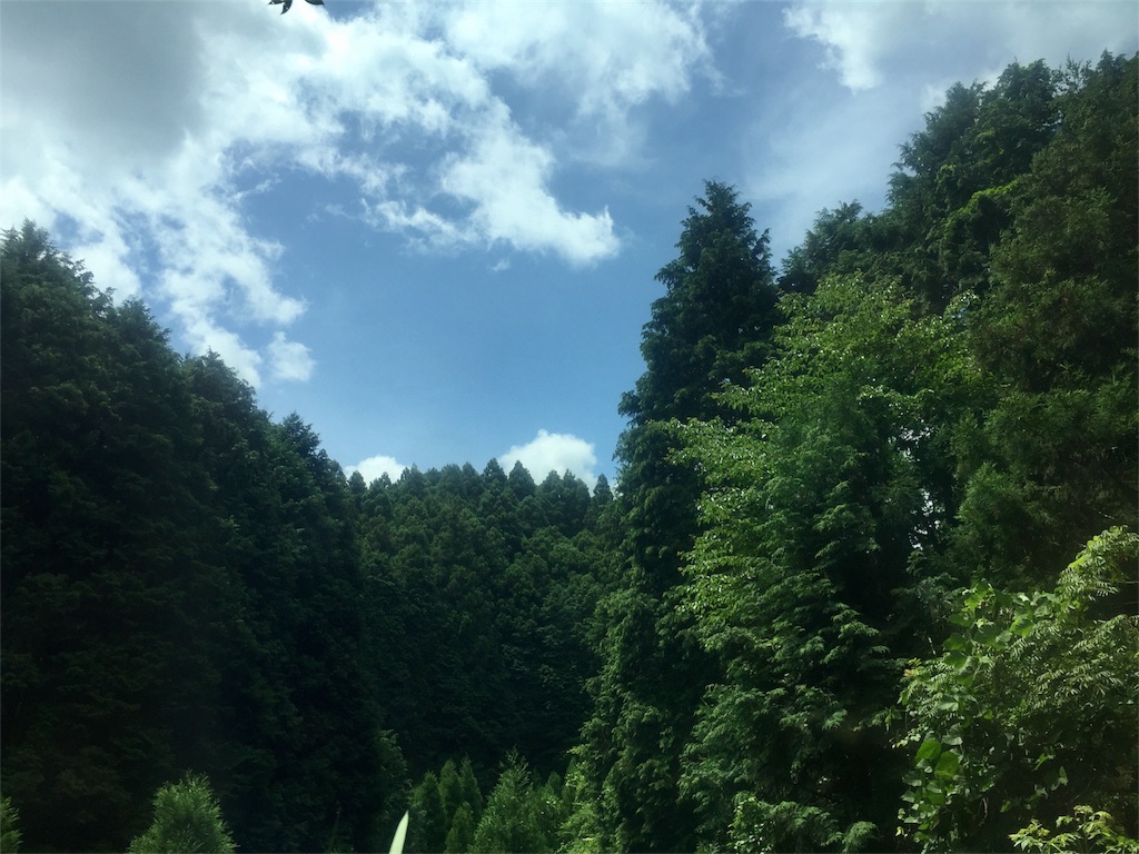 f:id:mashroom-334:20170717004413j:image f:id:mashroom-334:20170717004413j:image