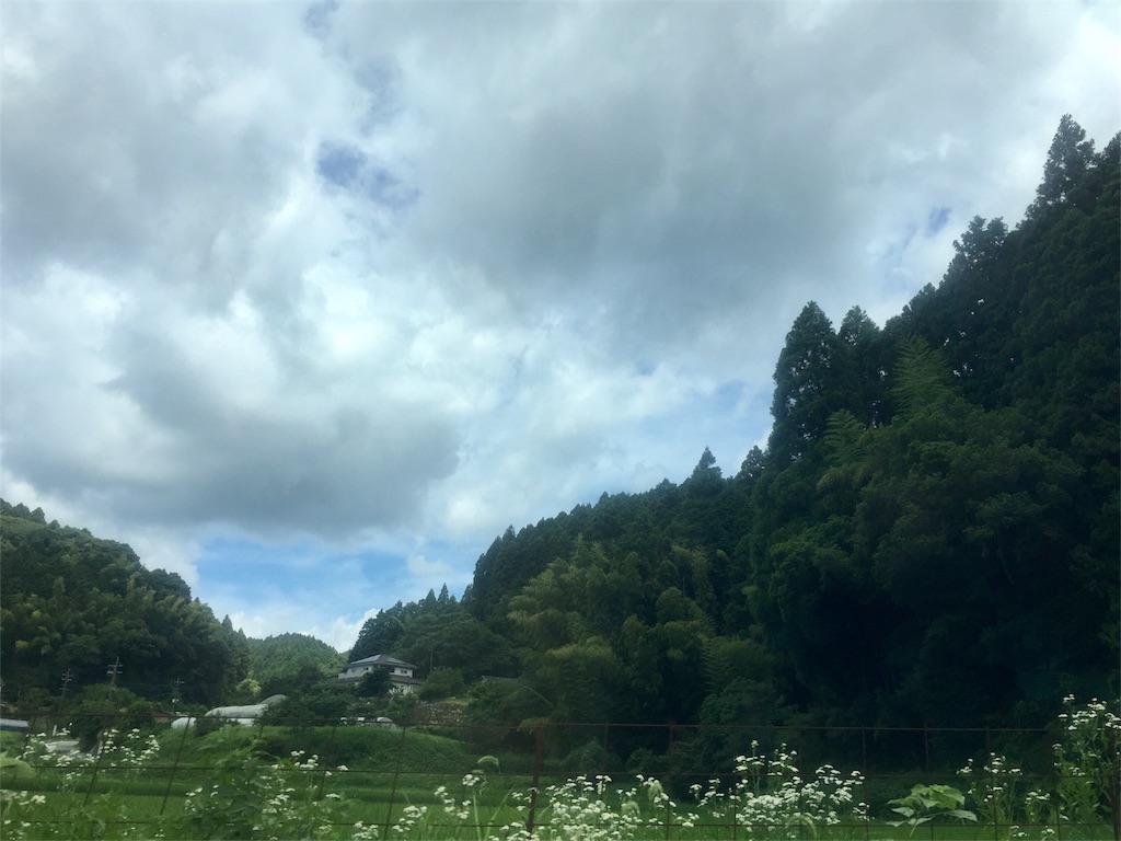 f:id:mashroom-334:20170717004447j:image f:id:mashroom-334:20170717004447j:image
