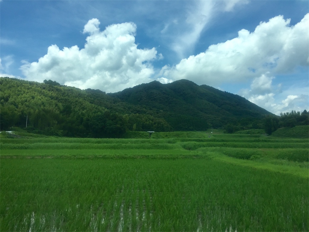 f:id:mashroom-334:20170717004548j:image f:id:mashroom-334:20170717004548j:image