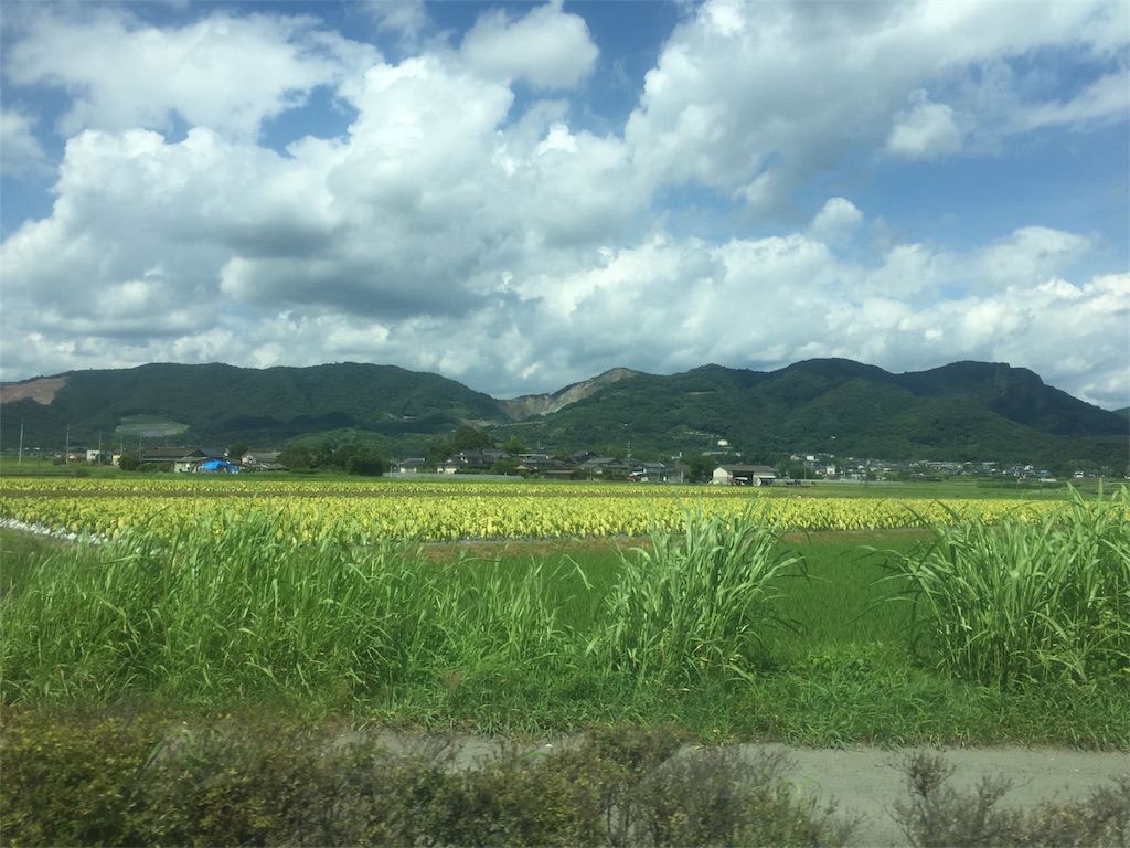 f:id:mashroom-334:20170717004617j:image f:id:mashroom-334:20170717004617j:image