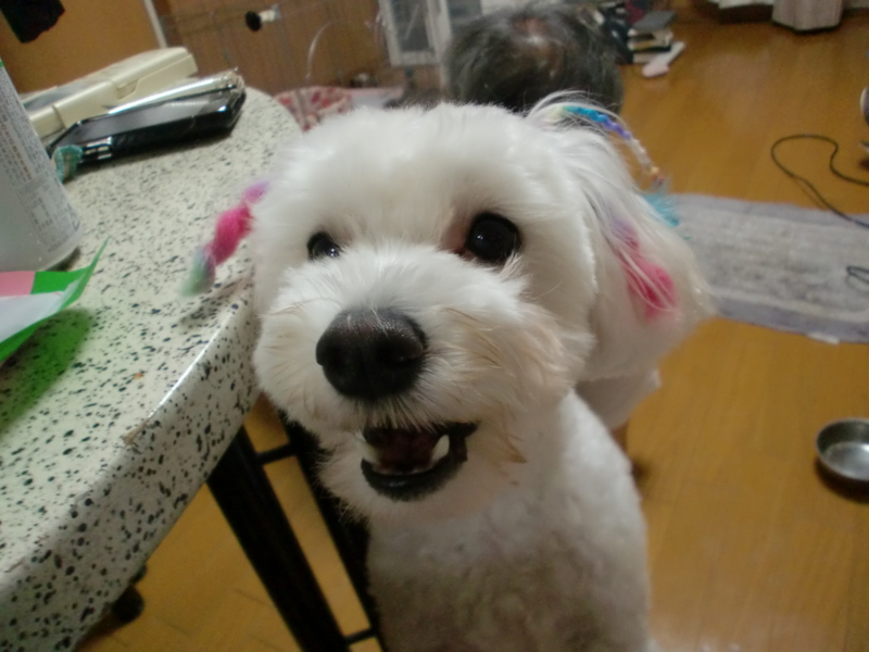 f:id:mashu717:20110816211906j:image