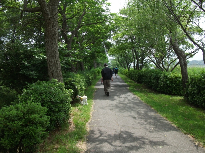 f:id:mashu717:20120603093850j:image