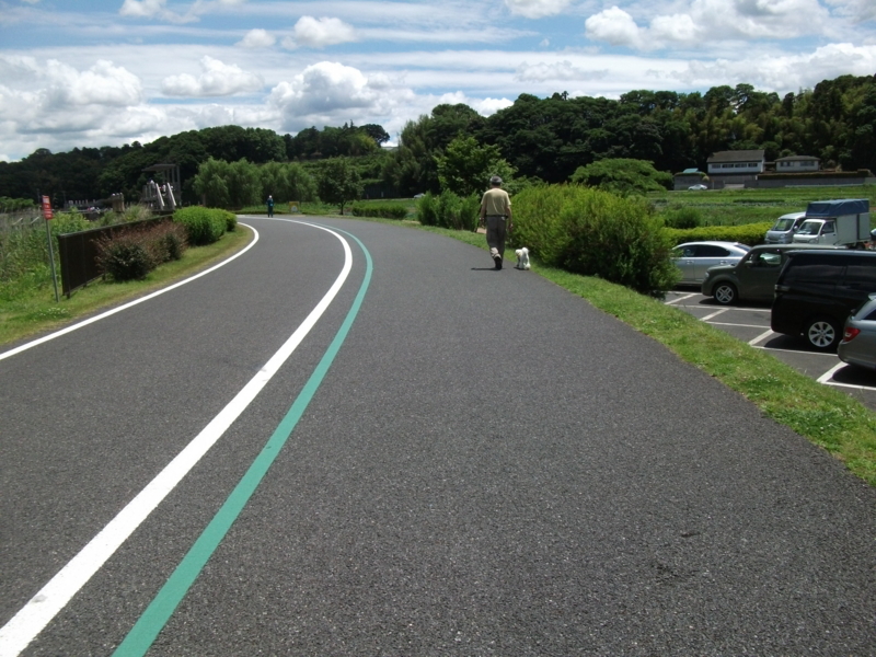 f:id:mashu717:20120610121150j:image