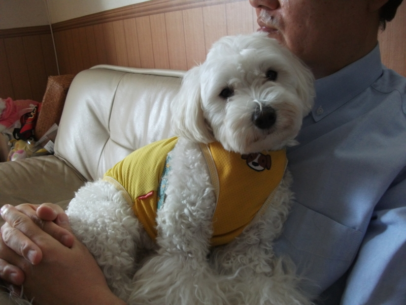 f:id:mashu717:20120621091554j:image