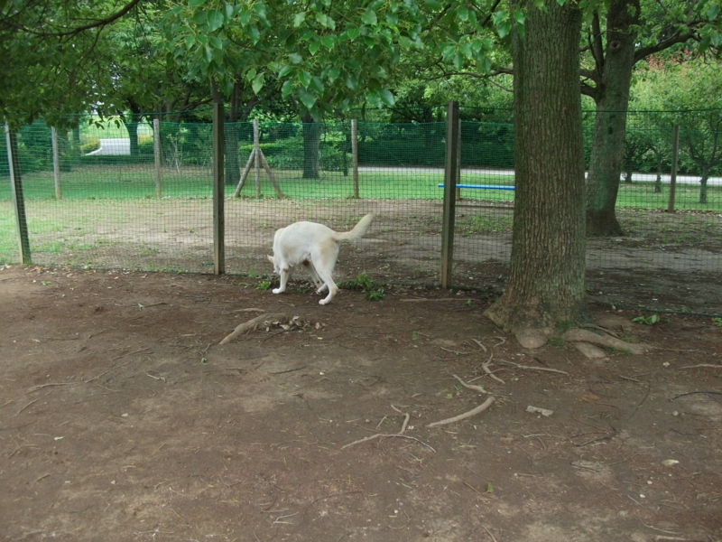 f:id:mashu717:20120621111018j:image