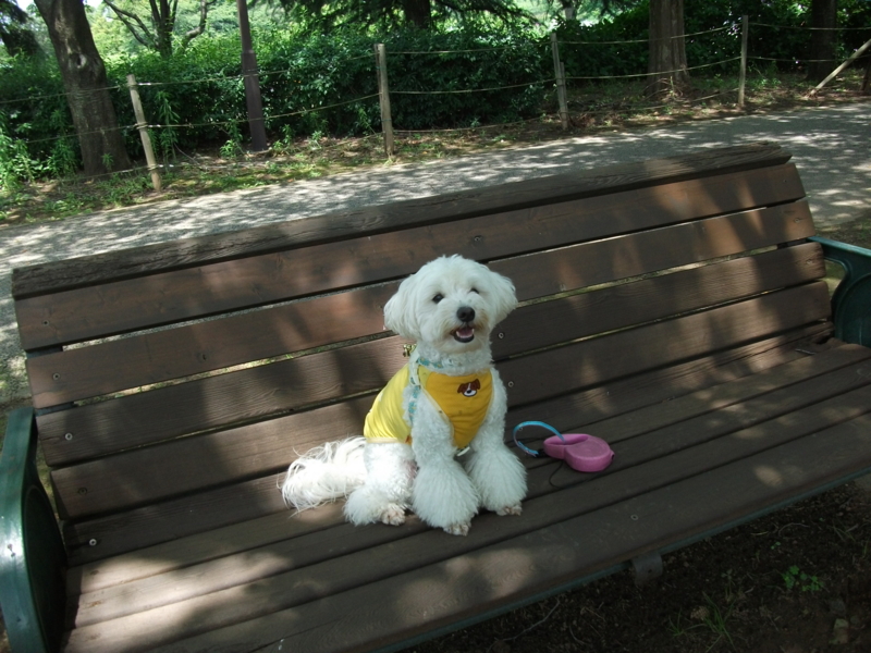 f:id:mashu717:20120624123202j:image