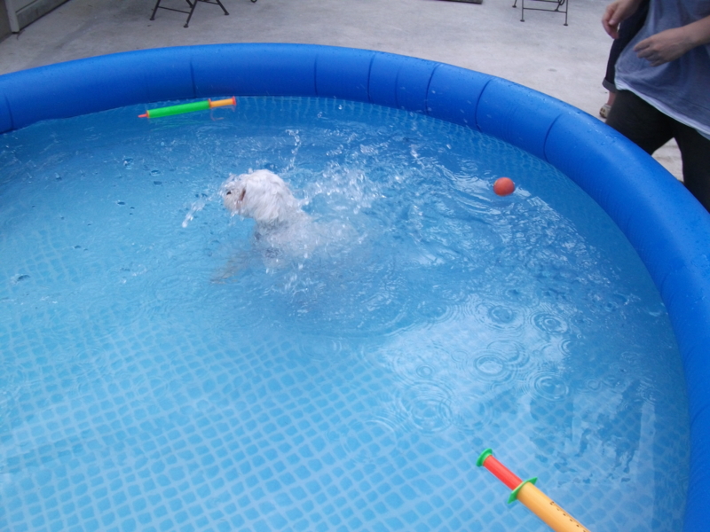 f:id:mashu717:20120716164439j:image