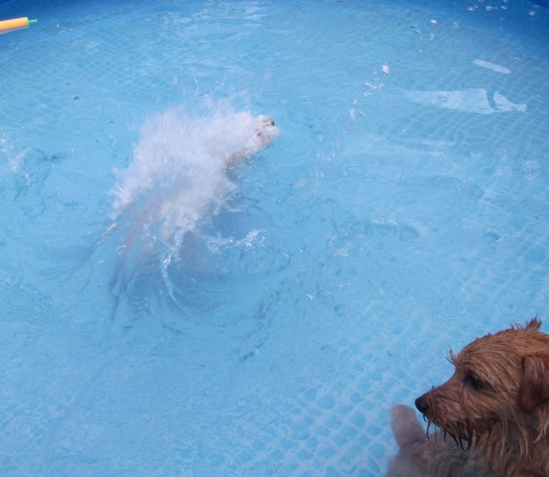 f:id:mashu717:20120716164502j:image