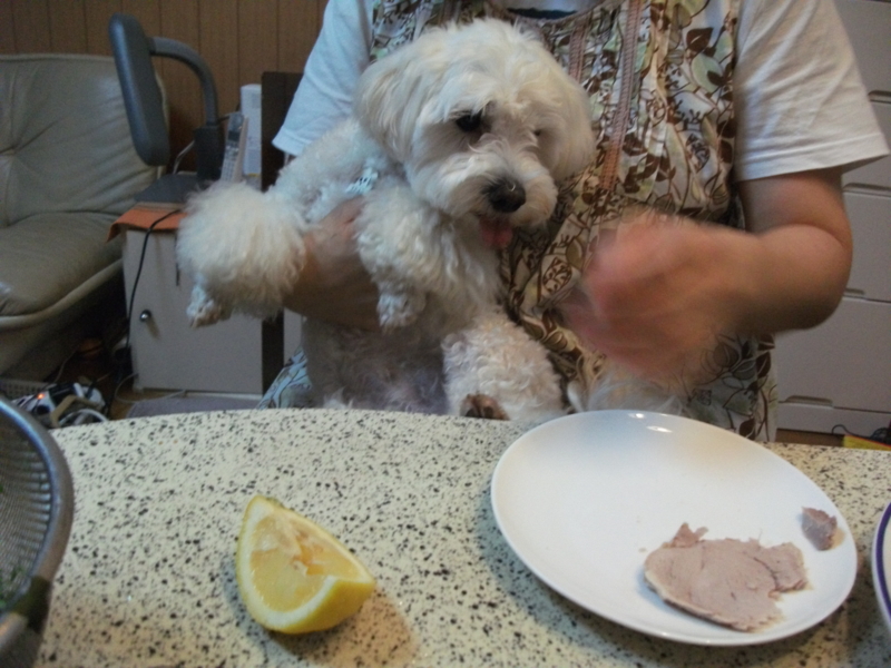 f:id:mashu717:20120722185240j:image