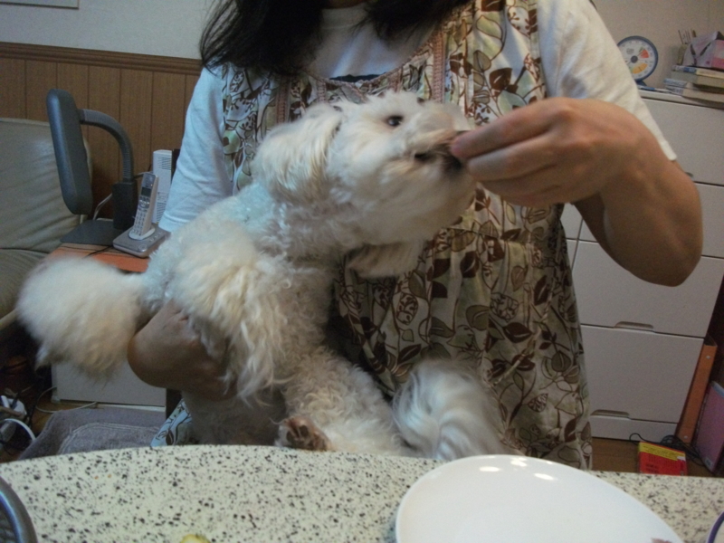 f:id:mashu717:20120722185249j:image