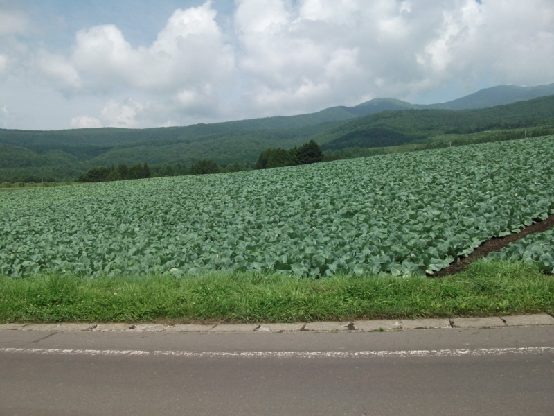 f:id:mashu717:20120729101435j:image