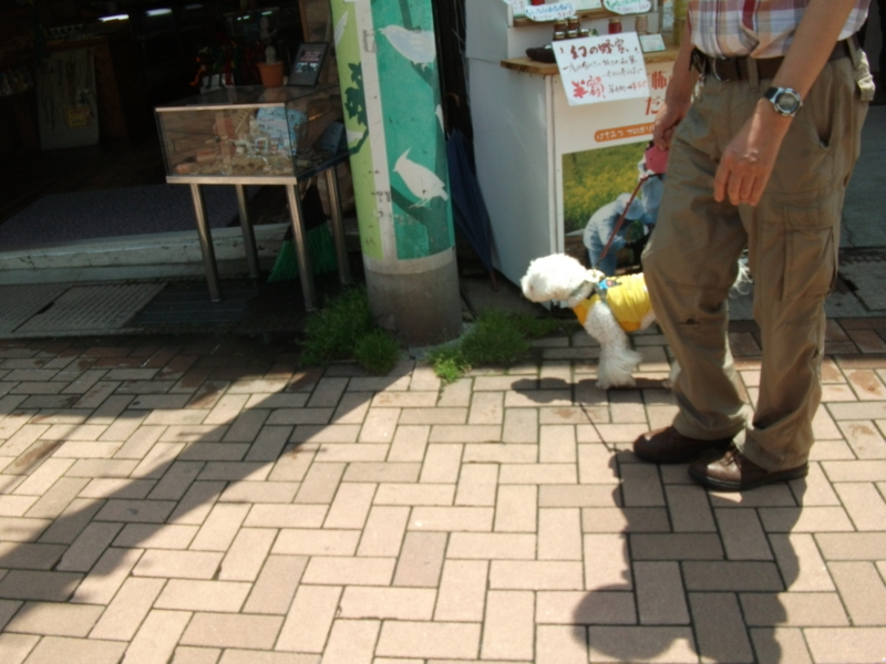 f:id:mashu717:20120729113236j:image