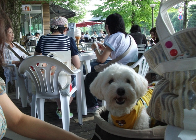 f:id:mashu717:20120729161607j:image