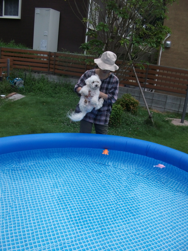 f:id:mashu717:20120812124618j:image