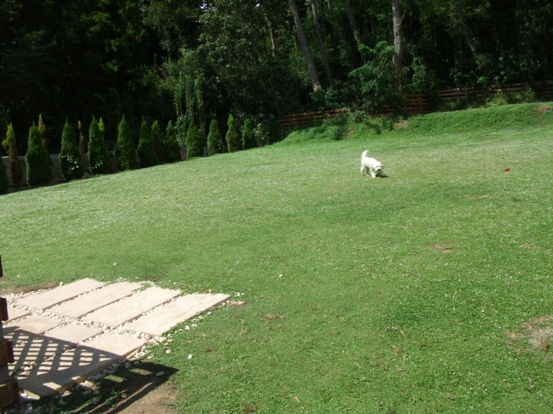 f:id:mashu717:20120812140041j:image