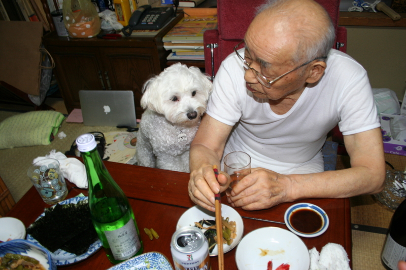 f:id:mashu717:20120826181633j:image