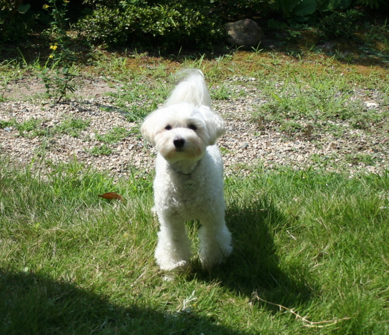 f:id:mashu717:20120827101322j:image