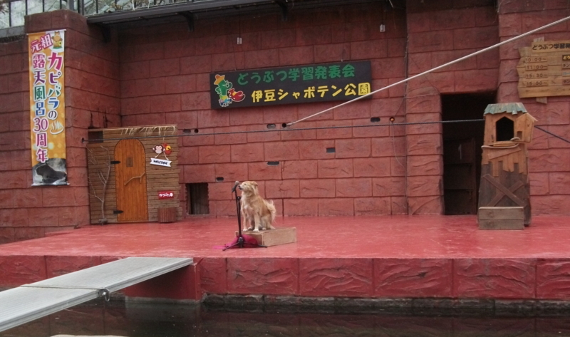 f:id:mashu717:20130303134829j:image