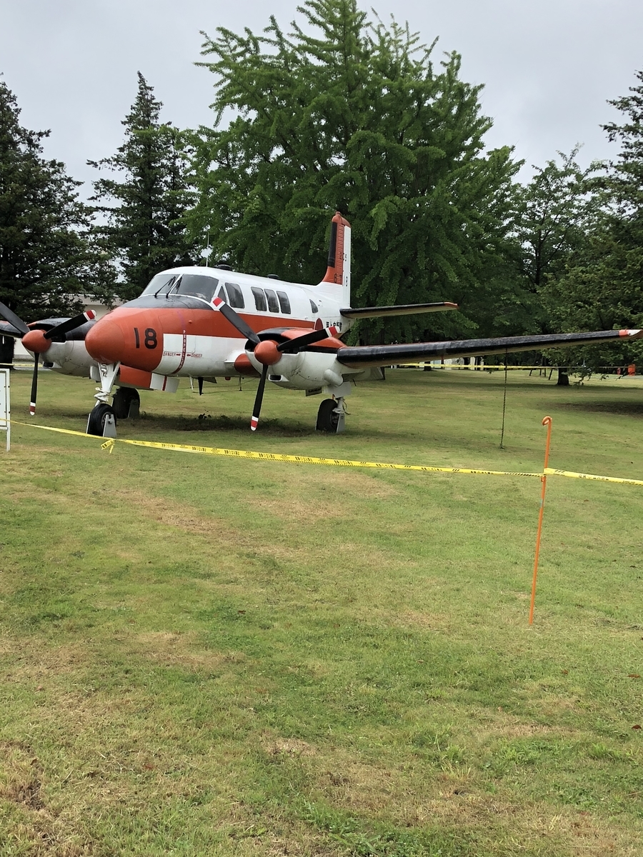 f:id:mashumarot:20190630191848j:plain f:id:mashumarot:20190630191848j:plain