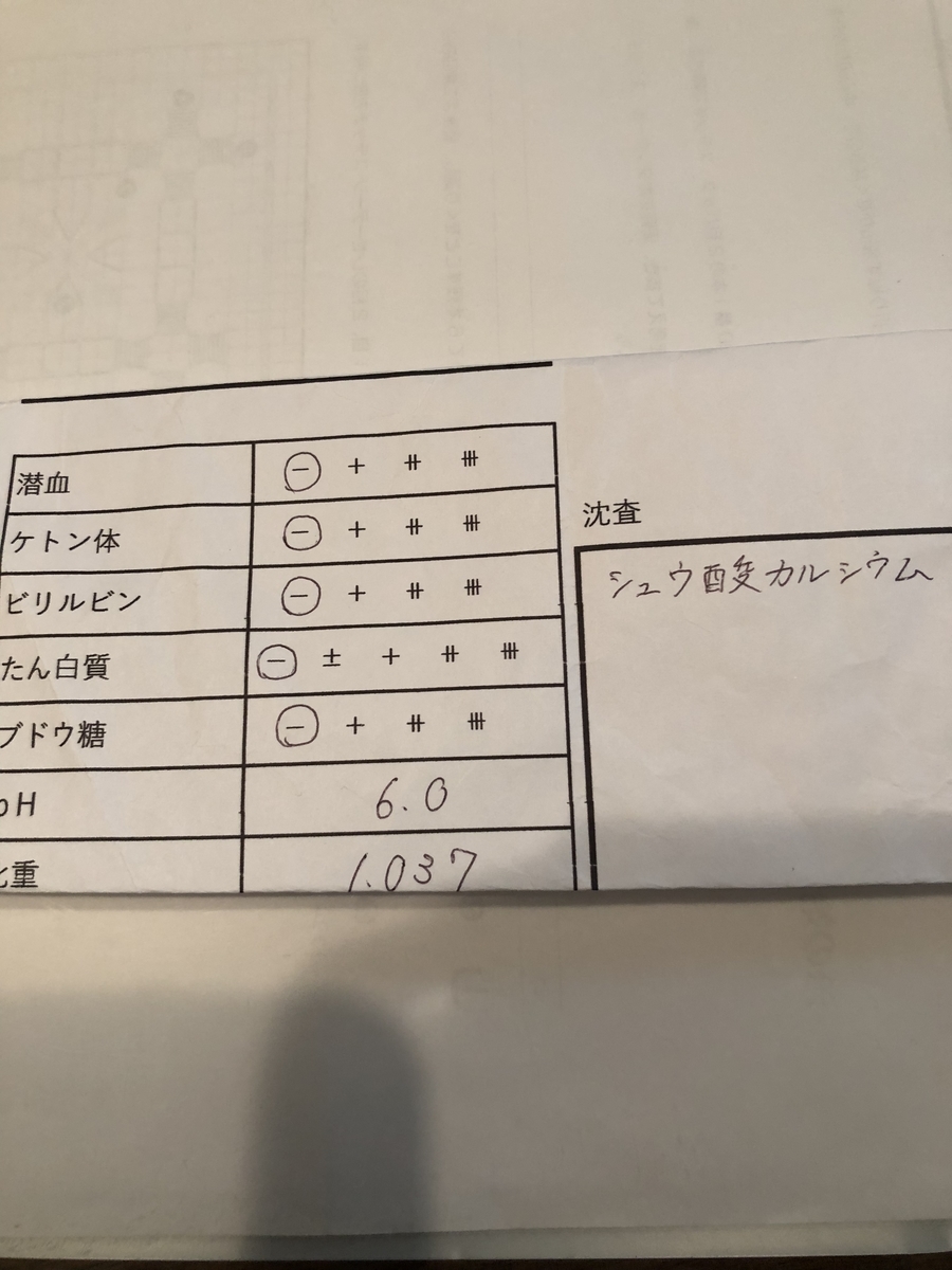 f:id:mashumarot:20190630210855j:plain f:id:mashumarot:20190630210855j:plain