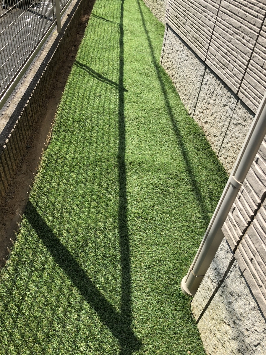 f:id:mashumarot:20190807130727j:plain f:id:mashumarot:20190807130727j:plain