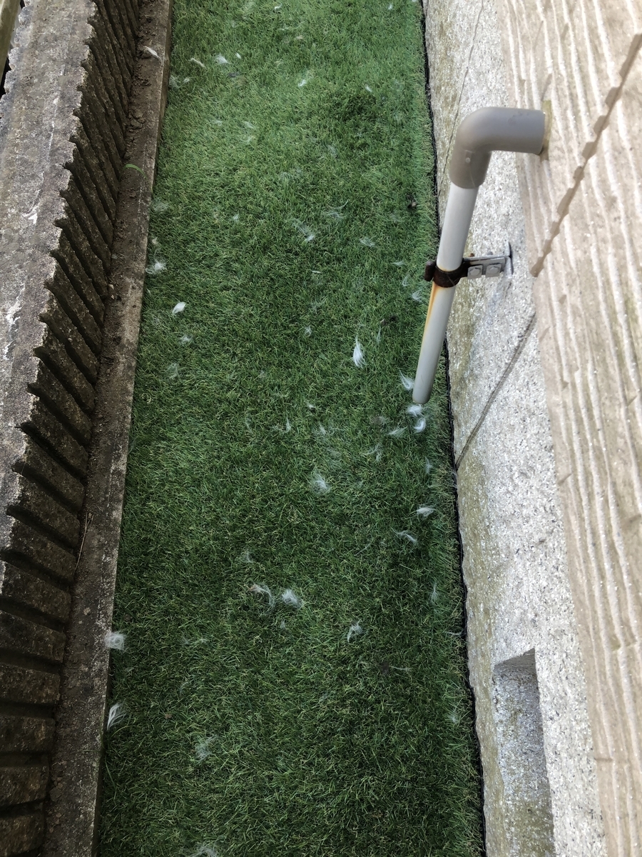 f:id:mashumarot:20190807133519j:plain f:id:mashumarot:20190807133519j:plain