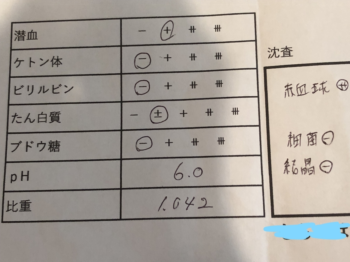 f:id:mashumarot:20190814235153j:plain f:id:mashumarot:20190814235153j:plain