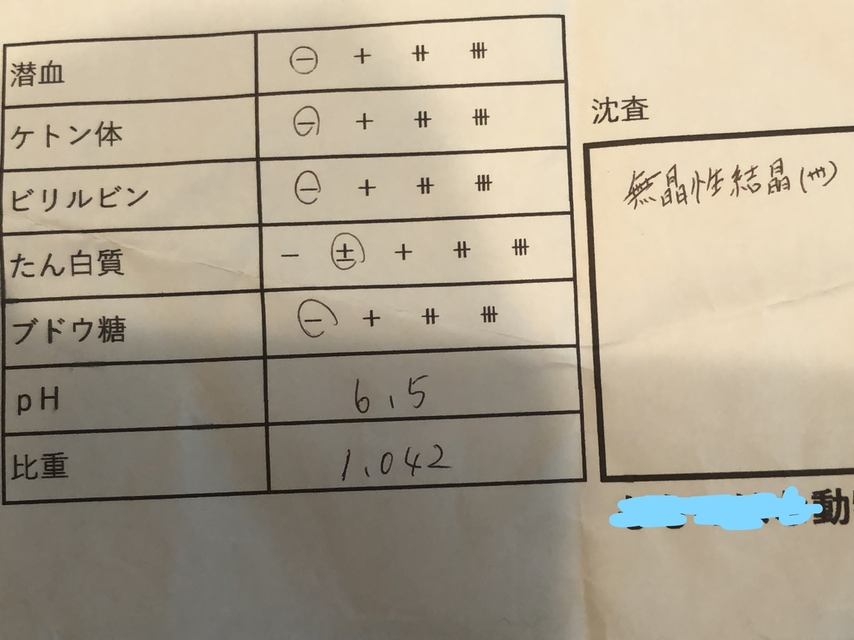f:id:mashumarot:20190814235839j:plain f:id:mashumarot:20190814235839j:plain
