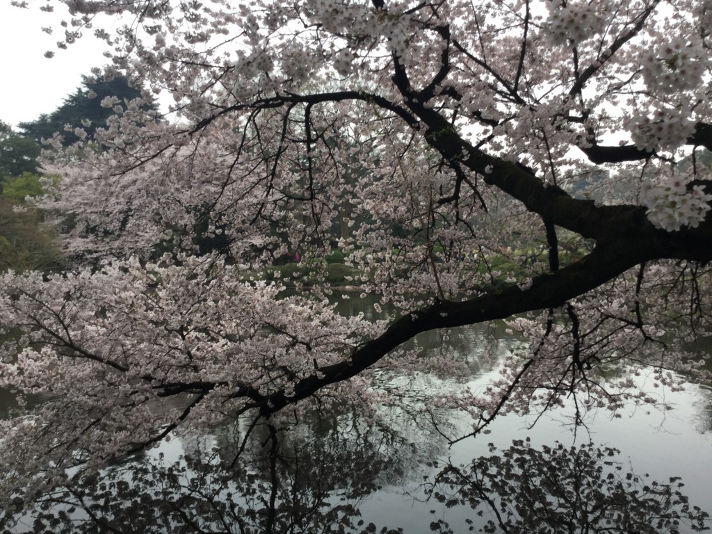 f:id:masimo:20170408152512j:plain