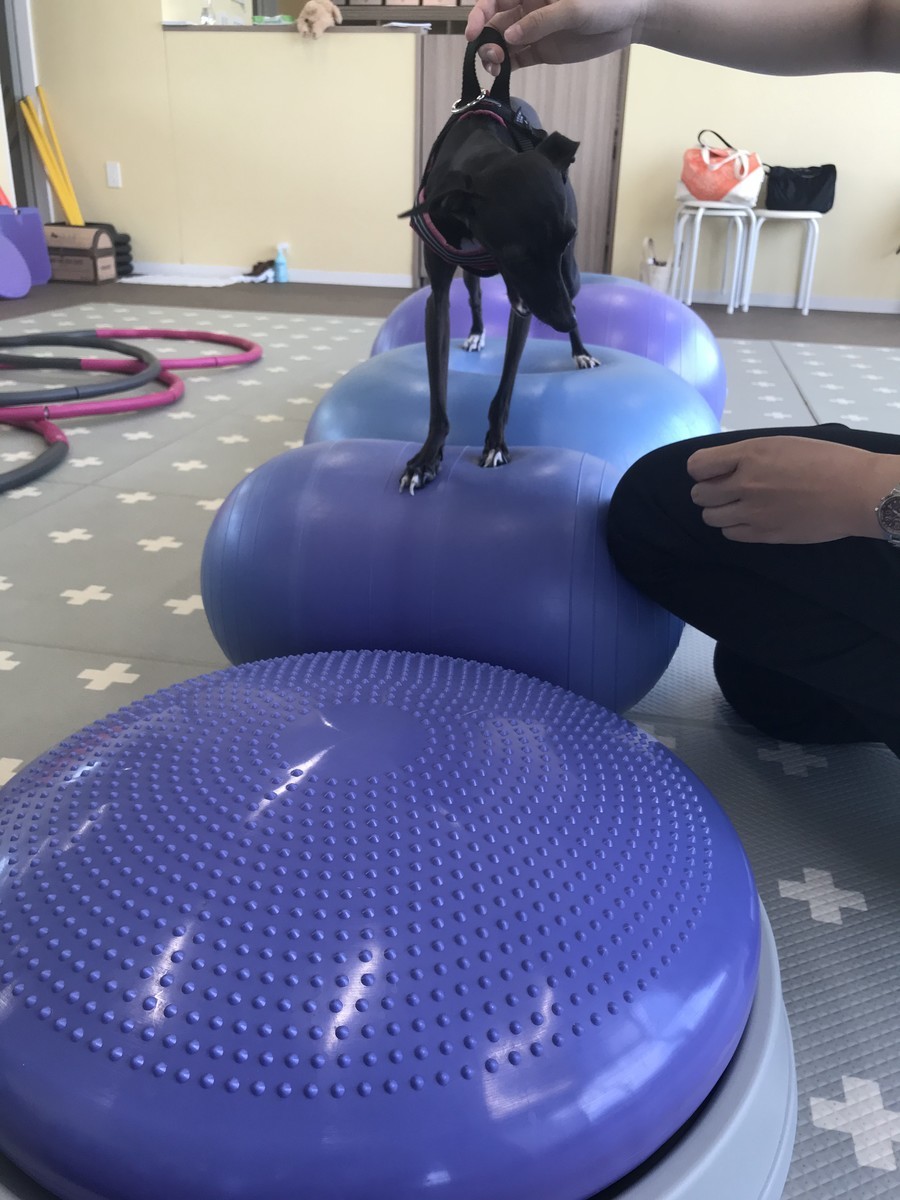 f:id:masimo:20200919155208j:plain