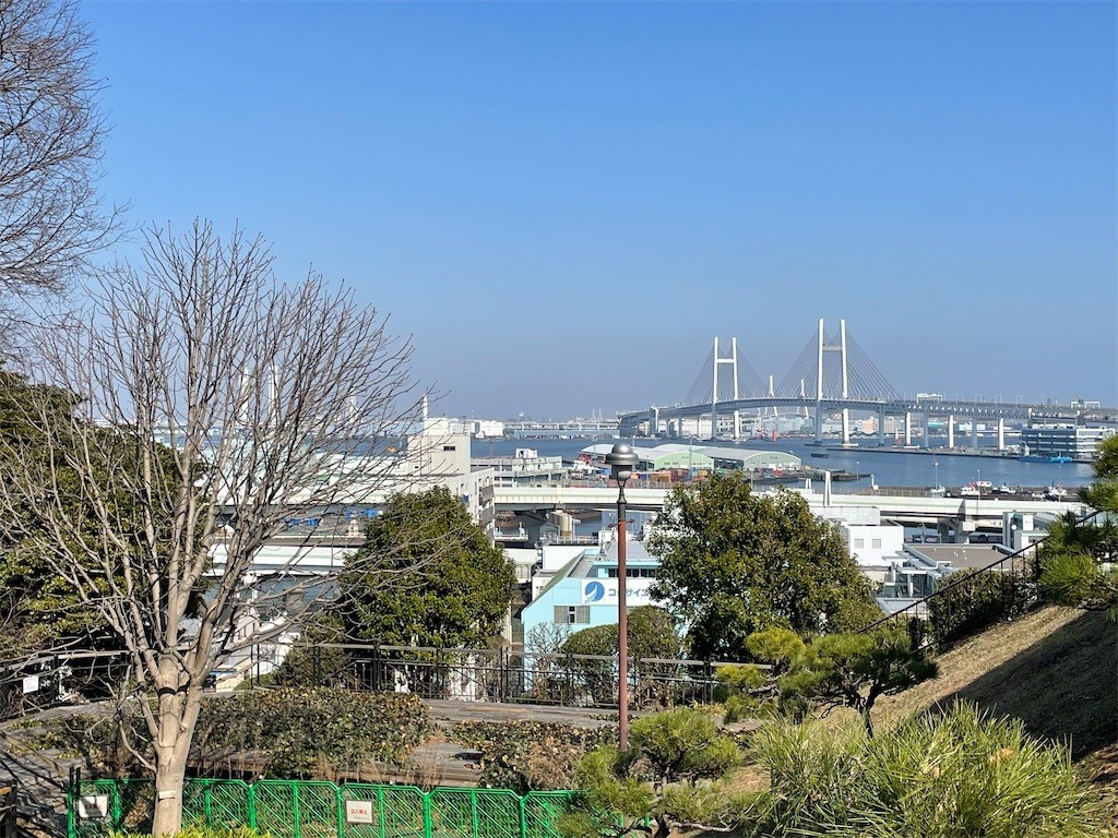 f:id:masimo:20210224002009j:plain