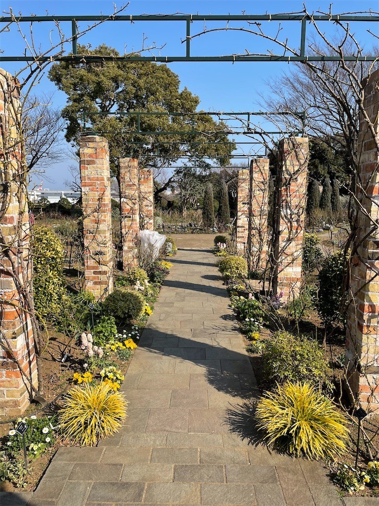 f:id:masimo:20210224002028j:plain