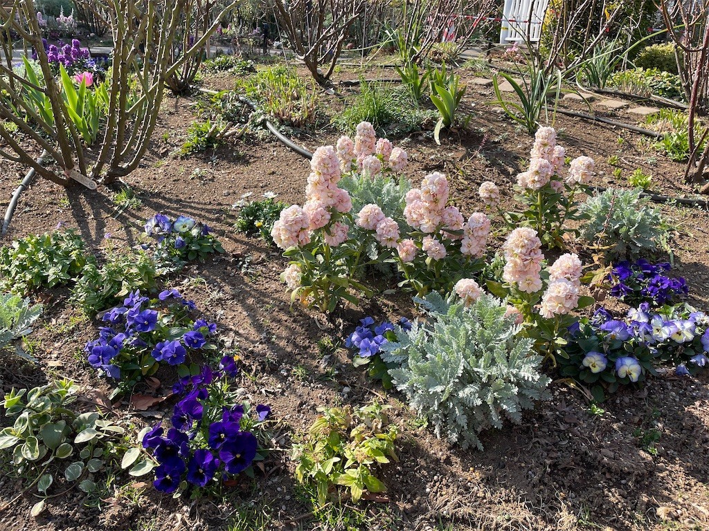 f:id:masimo:20210224002035j:plain