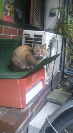 20120302095559