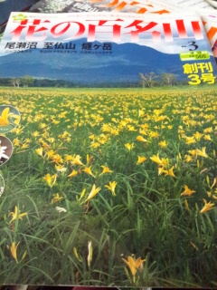 20121204131040