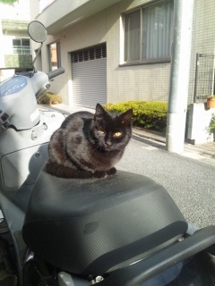 f:id:mask94421139:20121221092343j:image:w360