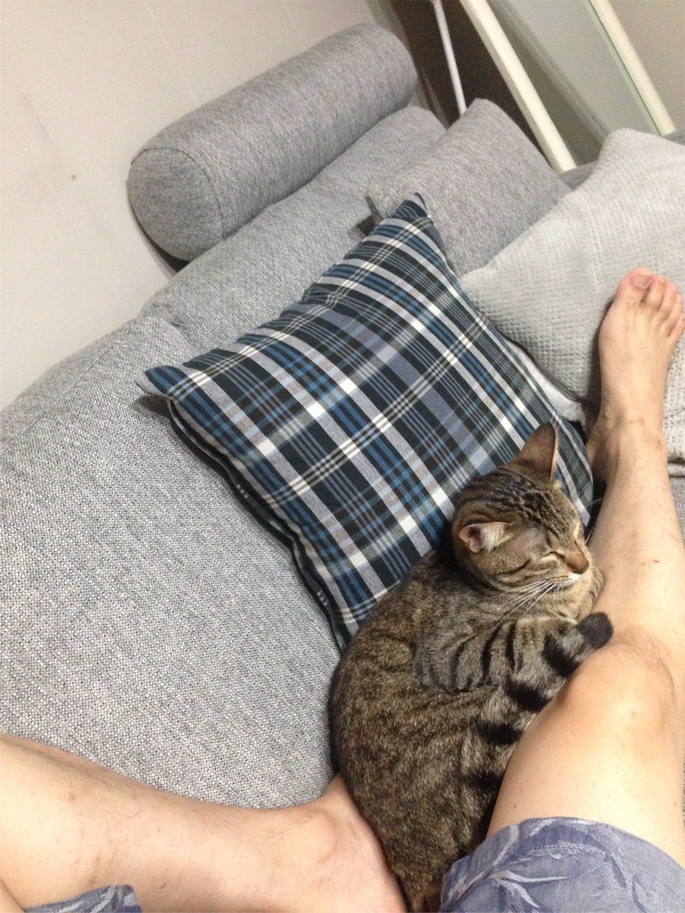 f:id:maskcat:20160929152704j:image f:id:maskcat:20160929152704j:image