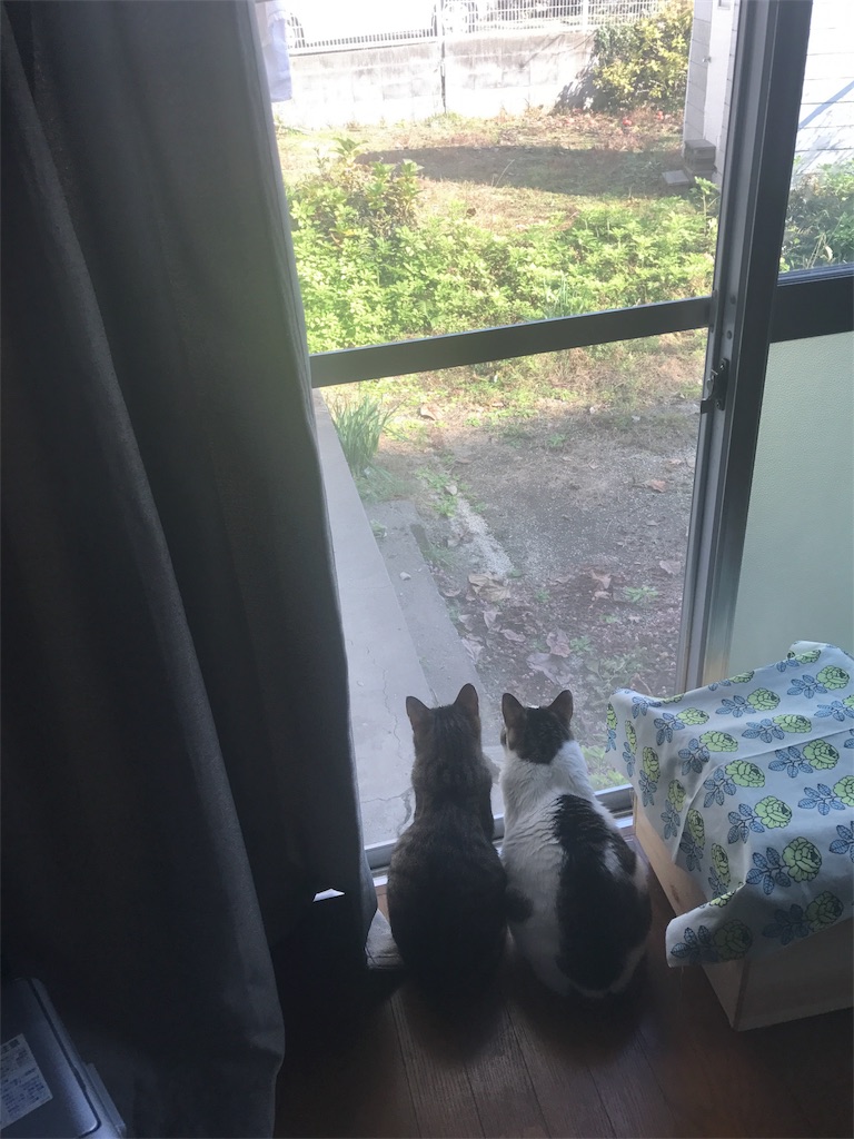 f:id:maskcat:20170111125753j:image f:id:maskcat:20170111125753j:image