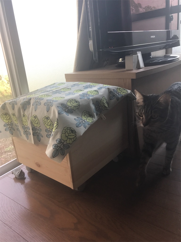 f:id:maskcat:20170112124654j:image f:id:maskcat:20170112124654j:image