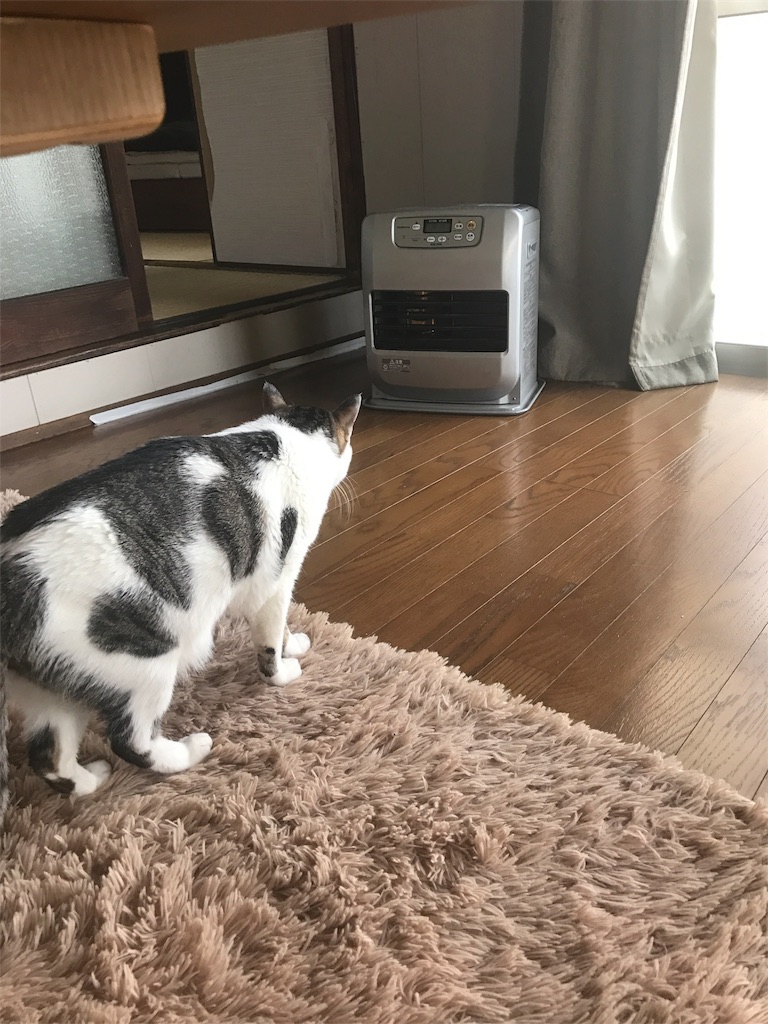 f:id:maskcat:20170112214337j:image f:id:maskcat:20170112214337j:image