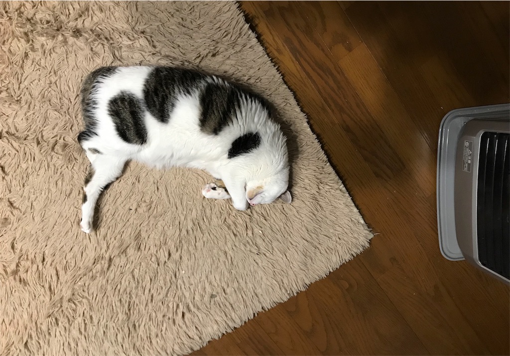 f:id:maskcat:20180320112730j:image